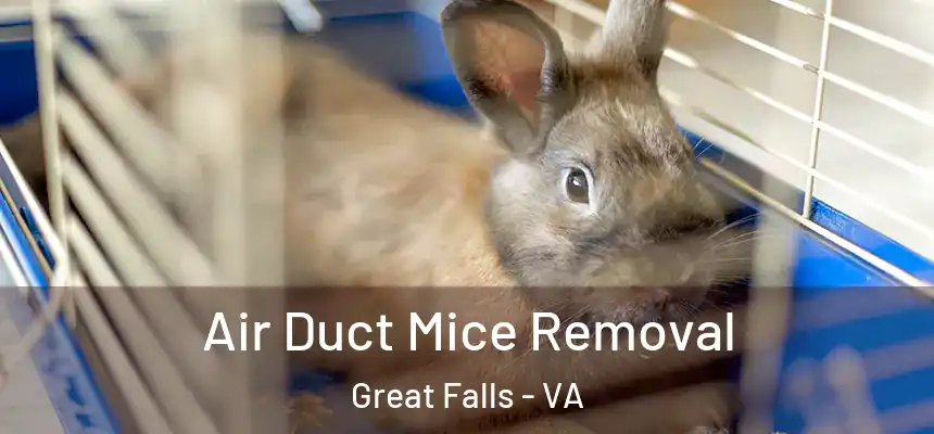  Air Duct Mice Removal Great Falls - VA
