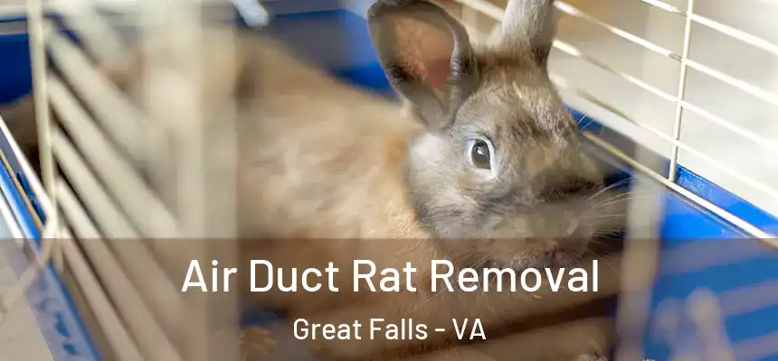  Air Duct Rat Removal Great Falls - VA