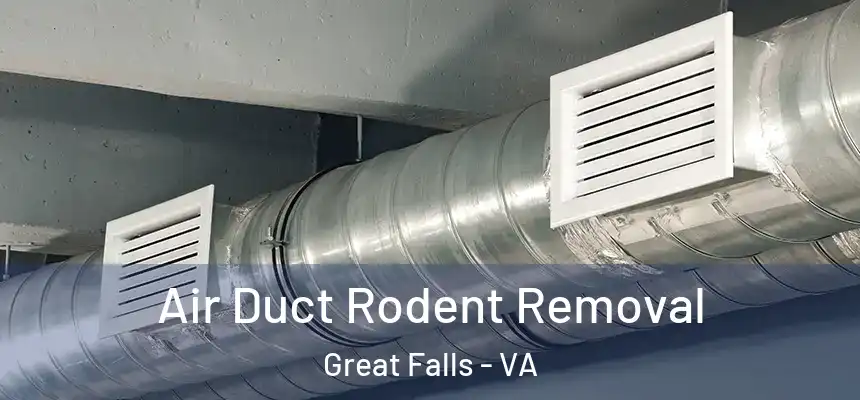  Air Duct Rodent Removal Great Falls - VA