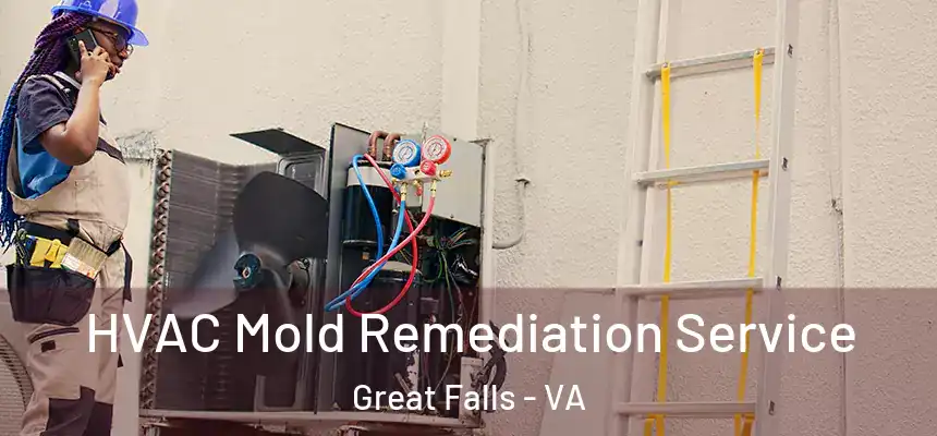  HVAC Mold Remediation Service Great Falls - VA