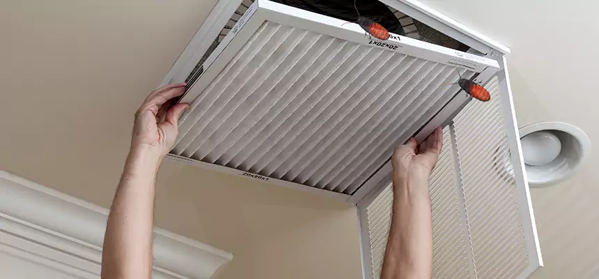 Preventive Cockroach-Proofing for Ducts in Great Falls