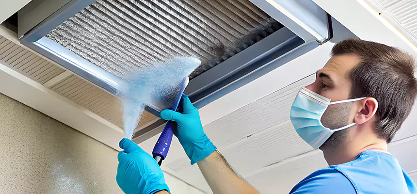 Proactive Dryer Vent & Auxiliary Duct Pollen Cleanup in Great Falls, VA