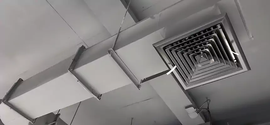 Our Pest Removal From Ducts Services in Great Falls, VA