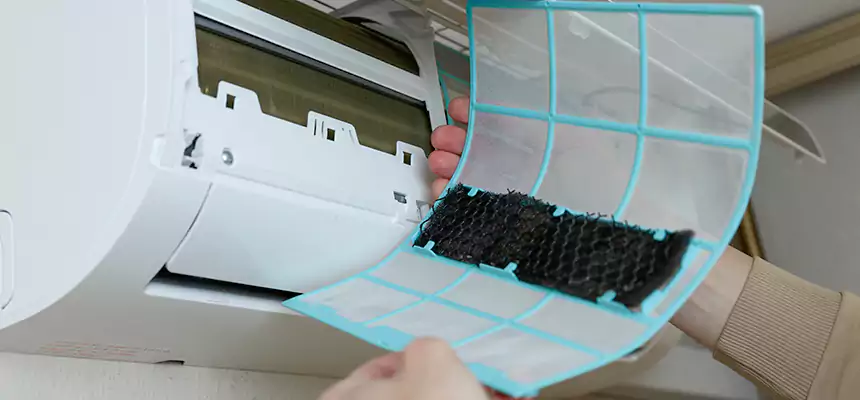 Gentle Ductwork Odor-Control Pet Dander Duct Cleaning in Great Falls, VA