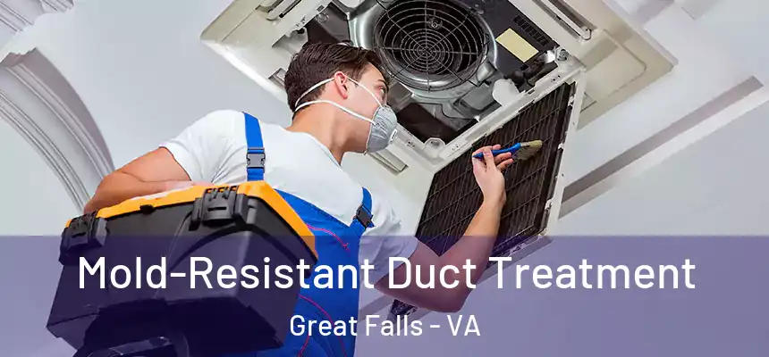  Mold-Resistant Duct Treatment Great Falls - VA