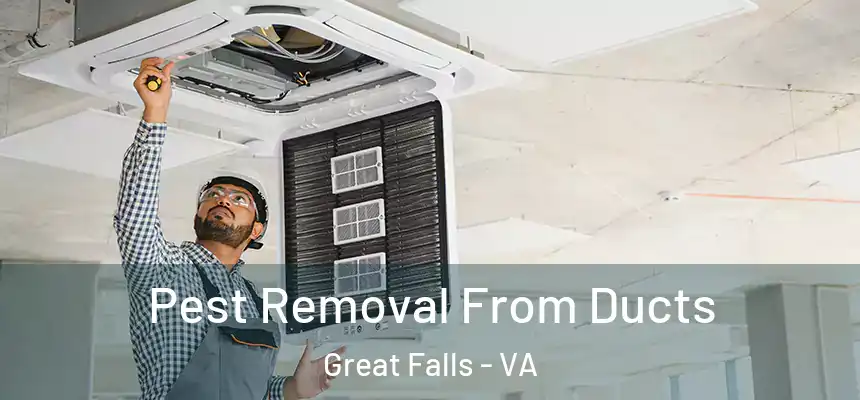  Pest Removal From Ducts Great Falls - VA