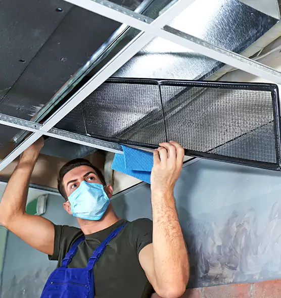 Professional Air Duct Pollen Cleaning in Great Falls, VA