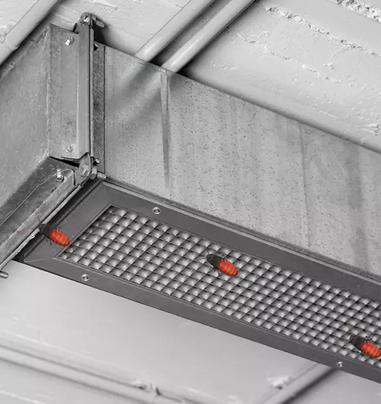 Affordable Insect Removal from Air Ducts in Great Falls, VA